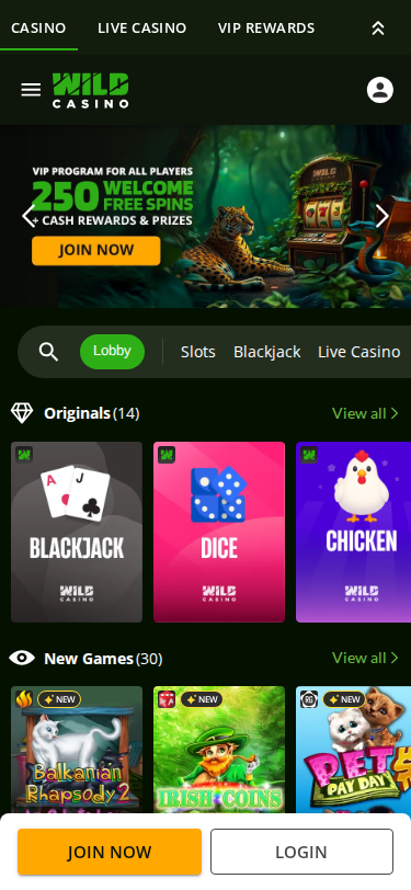 Wild Casino site screenshot